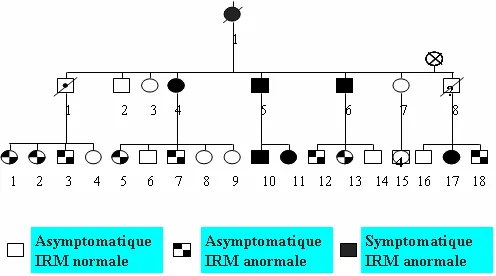 Figure 4: Arbre généalogique au sein d’une famille montrant la transmission de type autosomique dominant et les résultats de l’examen IRM.