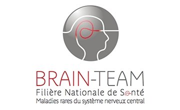 Logo Brain-Team pour les maladies rares neurologiques.