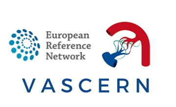 Logo de VASCERN avec des éléments graphiques représentant la collaboration en réseau pour les maladies vasculaires rares.